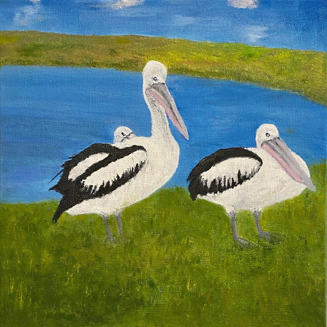 Pelicans by the Lake